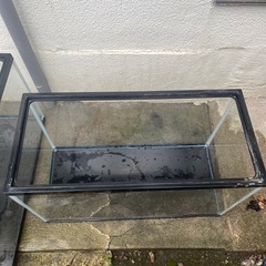 GEX60cmすいそう水槽の画像