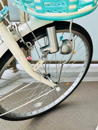 2021年購入/ブリヂストン/エコパル/ミント/24型/変則なし