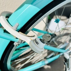 2021年購入/ブリヂストン/エコパル/ミント/24型/変則なし　の画像