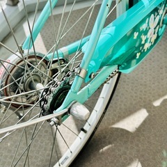 2021年購入/ブリヂストン/エコパル/ミント/24型/変則なし　の画像