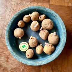 ジャガイモ　大葉の画像