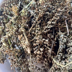 ジャガイモ　大葉の画像