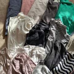 決定レディース　Lくらいの画像