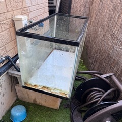 アクリル水槽(60cm)の画像