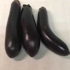 茄子　大　ナス　大きな　茄子　3本の画像