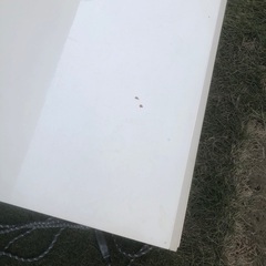 こたつ単身用の画像