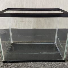 △ ⑤ GEX 水槽 プラスチック製＆外掛けフィルター用ストレーナー用スポンジセット 幅31.5cm 貯水確認済 汚れありの画像