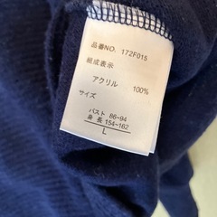 ネイビーVカットソーの画像