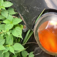 10年ie5速　セミプロ以上スキルある方のみの画像