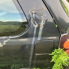 10年ie5速　セミプロ以上スキルある方のみの画像