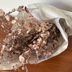 ユーカリ　ドライフラワー　60cm超えの画像