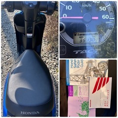 タクト AF79 ＃神奈川 ＃実動 #ワンオーナー #自賠有りの画像