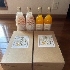 みかんジュースの画像