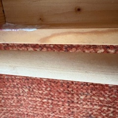 Mapleポッポ 絵本棚 ロータイプ本棚　絵本棚の画像