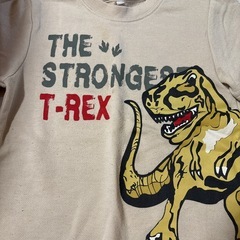 110cm★恐竜の画像