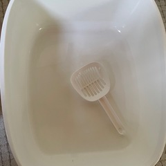 猫トイレ未使用もらってくださいの画像