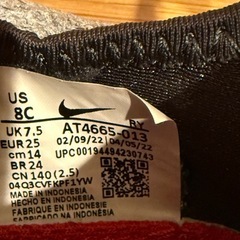 NIKEナイキ　ウォーターシューズ　スニーカー　14cm　の画像