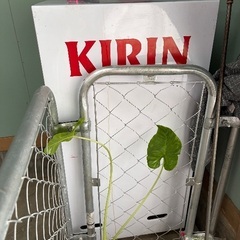 小型冷蔵ショーケースの画像