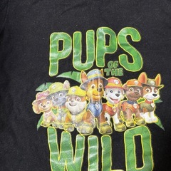 120cm★パウパトロールの画像