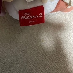 モアナ？の画像