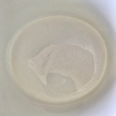 アラビア　エエヴァ　ホワイト　ピッチャー　1L　ヴィンテージ　BKモデル　レアの画像