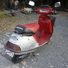  HONDA Lead SS 50 リードSS 50 (AF10) シルバー/レッド・仕上げベースの画像
