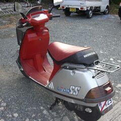  HONDA Lead SS 50 リードSS 50 (AF10) シルバー/レッド・仕上げベースの画像