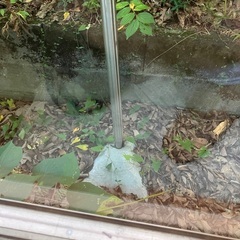 物干し竿の画像