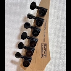 Legatorリバースヘッドギター N6SS-LBE【エリクサー張替え済】の画像