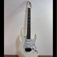 Legatorリバースヘッドギター N6SS-LBE【エリクサー張替え済】の画像