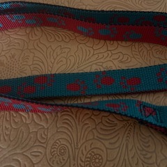 新品ワンちゃん用リードの画像