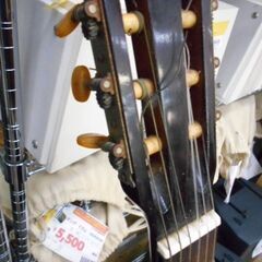 ＩＤ：700260　クラシックギターの画像