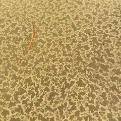 No.045 庭用　陶器製　テーブルせっとセットの画像