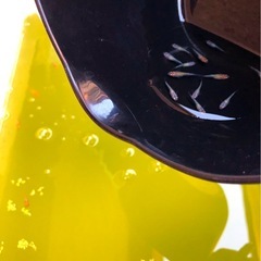 輝きの💐yurisis計12匹.体外光＊ひかりラメ魚.メダカ【11月2日.日迄の投稿です.】の画像