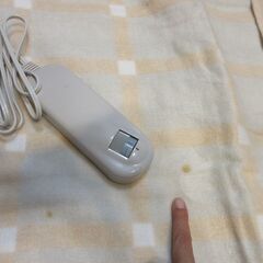 電気毛布　未使用　電子式毛布　初・説明書付き　通電確認済み　洗濯OKの画像