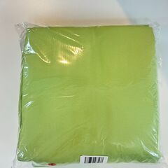 落ち着いたライトグリーン🍃100×178　2枚セット