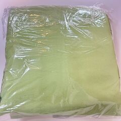 落ち着いたライトグリーン🍃100×178　2枚セットの画像