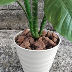 (取引中)フェイクグリーンの画像