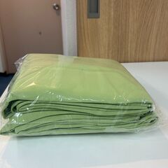 落ち着いたライトグリーン🍃100×178　2枚セットの画像