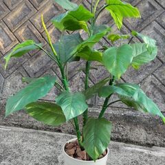 (取引中)フェイクグリーンの画像