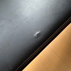 フラットベンチ　ファイティングロードの画像