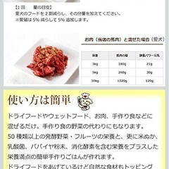 [帝塚山ハウンドカム]犬用 猫用 酵素パワー元気消化プラス 発酵野菜パウダー 手作り食 (100g) 国産 無添加 ドッグフードの画像