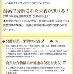 [帝塚山ハウンドカム]犬用 猫用 酵素パワー元気消化プラス 発酵野菜パウダー 手作り食 (100g) 国産 無添加 ドッグフードの画像
