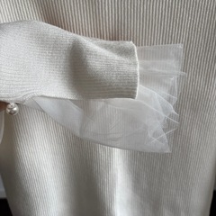 リブニットの画像