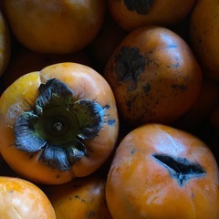 柿　Ｂ品の画像