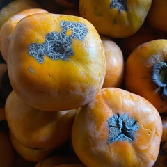 柿　Ｂ品の画像