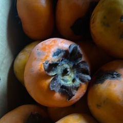 柿　Ｂ品の画像