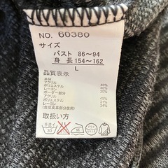 【未使用】ベストL①の画像