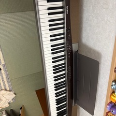 CASIO プリヴィア px100の画像