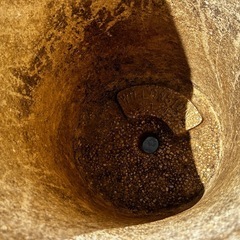 🪨でできた植木鉢🌹の画像